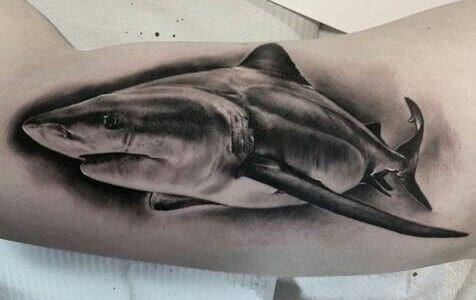 Shark Tattoo 