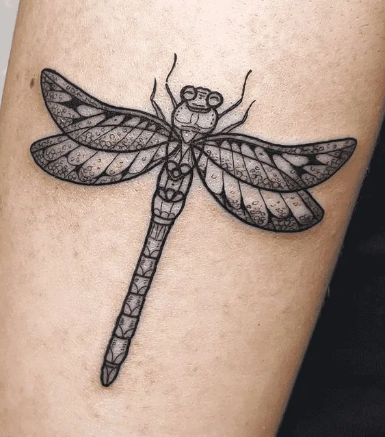 Traditional Dragonfly Tattoos