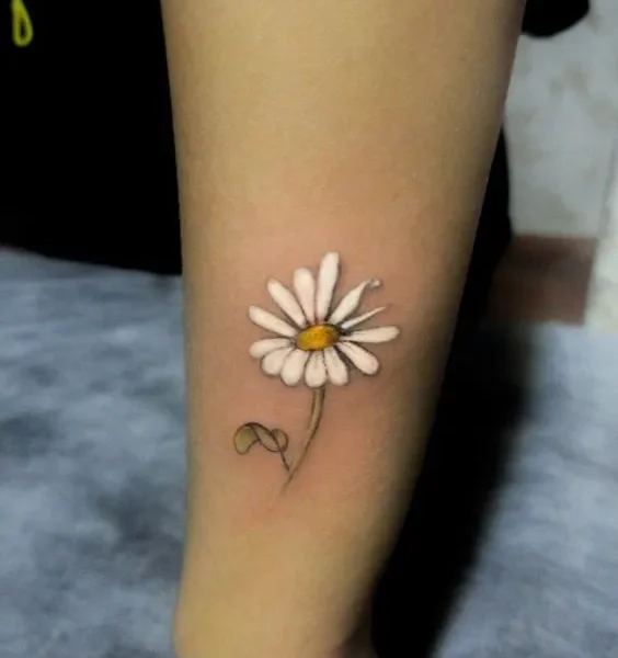 daisy tattoo meaning