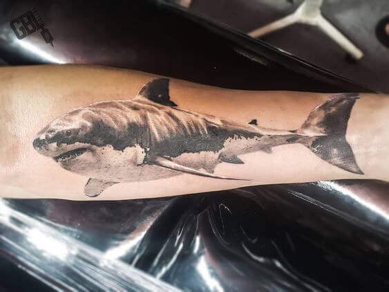 Realistic Shark Tattoo