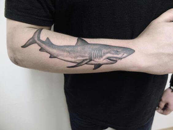 Wrist and Forearm